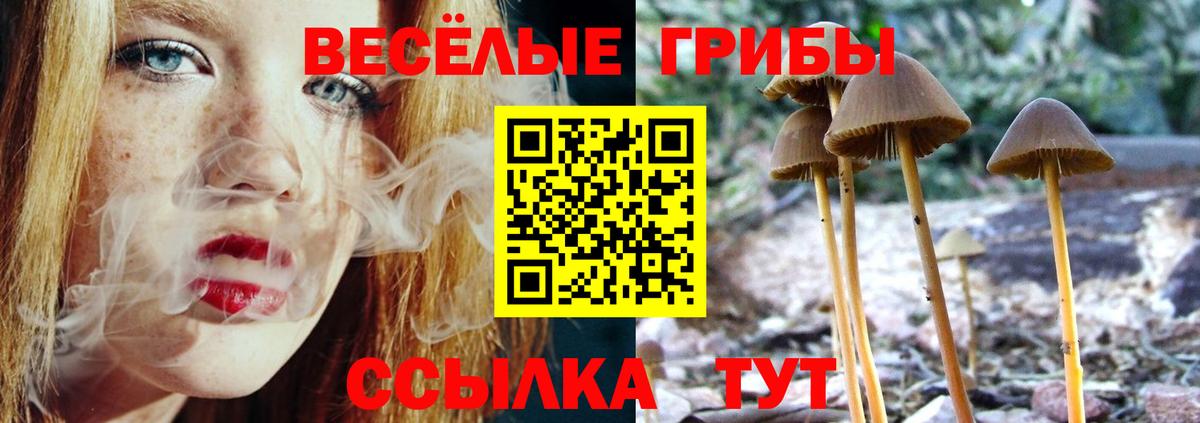 Галлюциногенные грибы мухоморы Донской